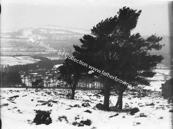 DUBLIN MOUNTAINS